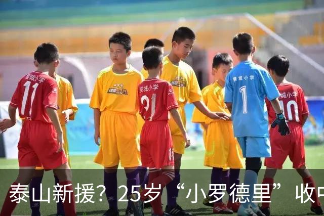 泰山新援？25岁“小罗德里”收中超报价：曾被皇马曼城哄抢！